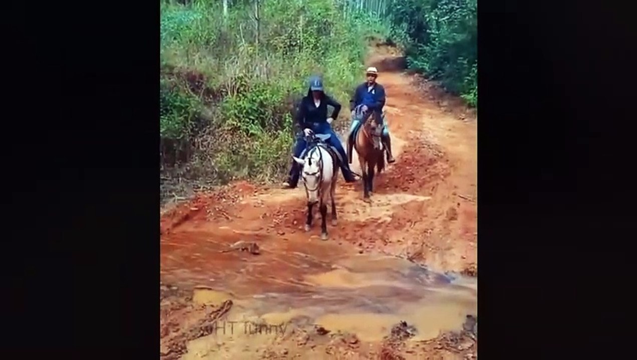 TRY NOT TO LAUGH 🤣🤣 Best Funny Videos compilation - Fail And Pranks 😂 p4