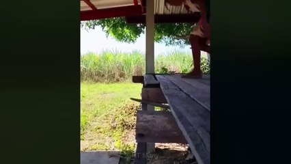 TRY NOT TO LAUGH 🤣🤣 Best Funny Videos compilation - Fails & Hilarious Moments 😂 P8