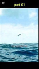 flying fish