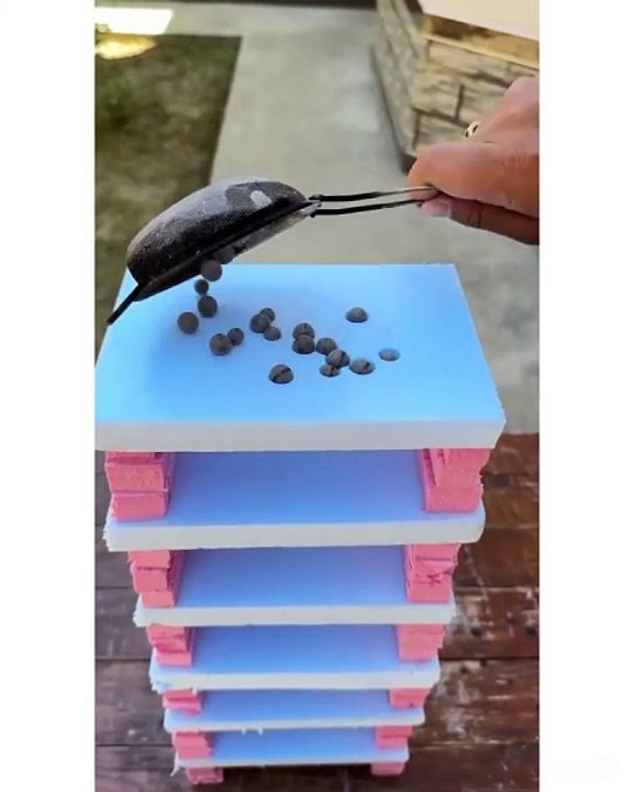 Blue Berries melting through styrofoam