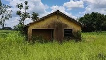 TINHA UMA ARANHA ARMADEIRA DENTRO DE UMA DAS CASAS, E NA OUTRA, MARIMBONDOS - DUAS CASAS ABANDONADAS