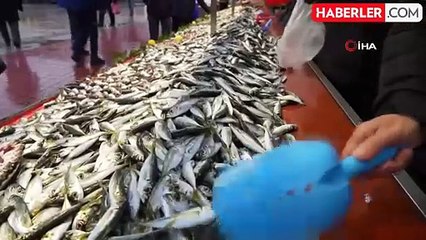Hamsinin Yokluğu Balık Fiyatlarını Yükseltti
