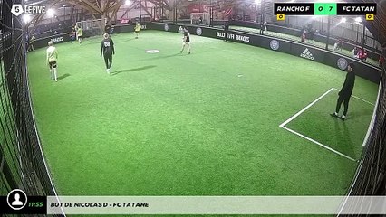 But de Nicolas D - Fc Tatane