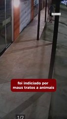 Policial que matou com tiro cachorro comunitário é indiciado