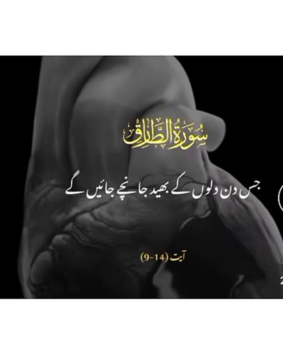 Surah Tariq