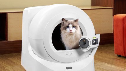 6 New Ways to Upgrade Your Home With AI in 2025