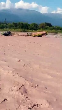 Impactante video: un trabajador quedó atrapado por la crecida del río Rosario y tuvo que ser rescatado