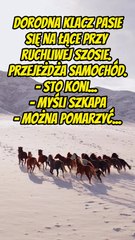 Koń, jaki jest, każdy widzi