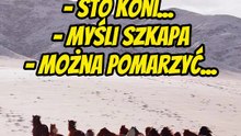Koń, jaki jest, każdy widzi