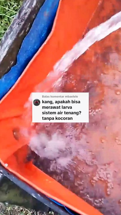 Emang siapa sih yang meWAJIBkan KUCAR-KOCOR dalam budidaya lele