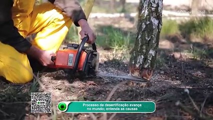 Processo de desertificação avança no mundo; entenda as causas