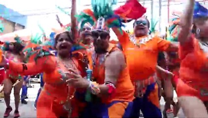 INFLUENZA VACCINATION DRIVE FOR CARNIVAL