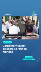Gobierno y sector arrocero se reúnen mañana