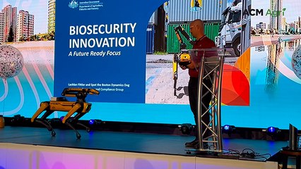 Robotic dog sniffing out ag biosecurity hazards