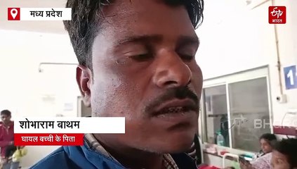 स्कूल से लौट रही 6 साल की मासूम को सियार ने बनाया अपना शिकार, दो महिलाएं भी जख्मी