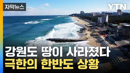 [자막뉴스] 수백억 들여도 '헛수고'...자연재해에 '속수무책' / YTN