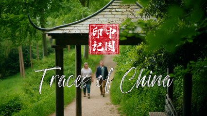 Traces of China 01: Gardens