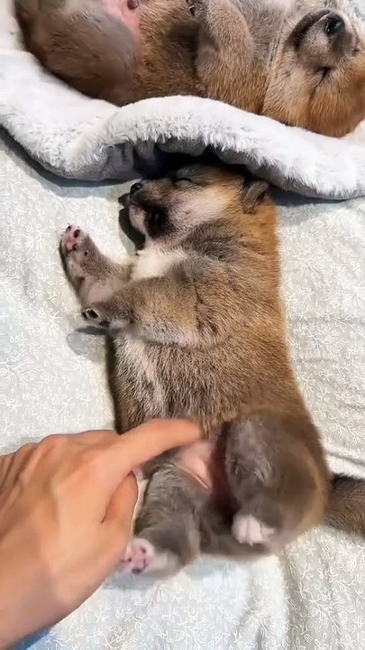 Der Ort, an dem du das Lied hörst ... gib mir jetzt 1 Eis ...