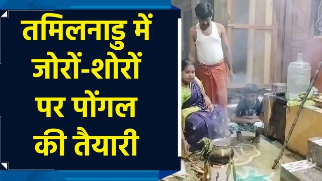 Tamil Nadu में जोरों-शोरों पर Pongal की तैयारी