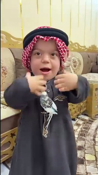 Vvivivivovic8