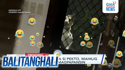 Alagang aso na si Pekto, mahilig tumalon para magpapansin | Balitanghali