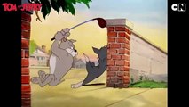 Tom and Jerry: Tom's Epic Fails - Part 1 | Cartoon Network India