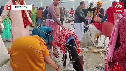 গঙ্গাসাগরে লক্ষ লক্ষ পুণ্যার্থী, পুণ্য-ডুব আট থেকে আশির