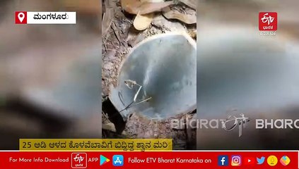 ಮಂಗಳೂರಲ್ಲಿ ಕೊಳವೆಬಾವಿಗೆ ಬಿದ್ದ ನಾಯಿಮರಿ ರಕ್ಷಿಸಿದ ಅಗ್ನಿಶಾಮಕ ದಳ