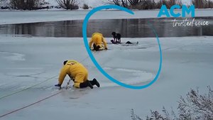 Heroic moment woman and her dogs are rescued from frozen pond