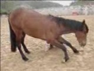 Rodrigo debut reverance