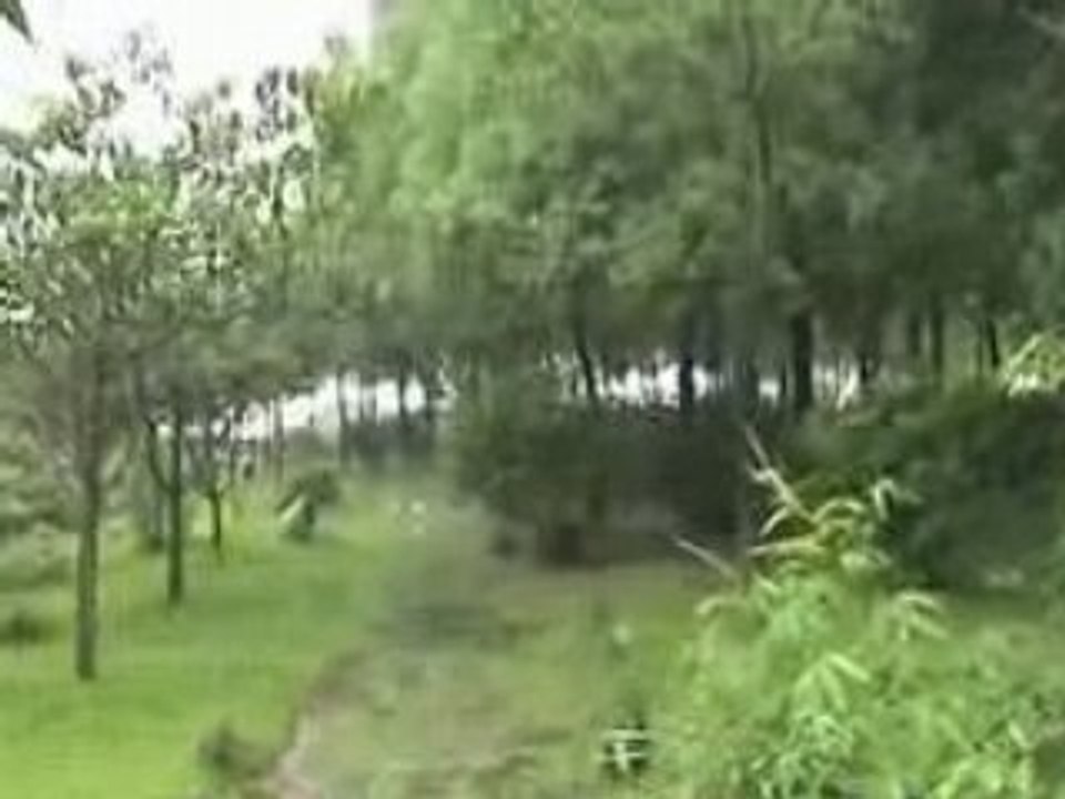 Jardin Barrage des Trois Gorges (Chine)