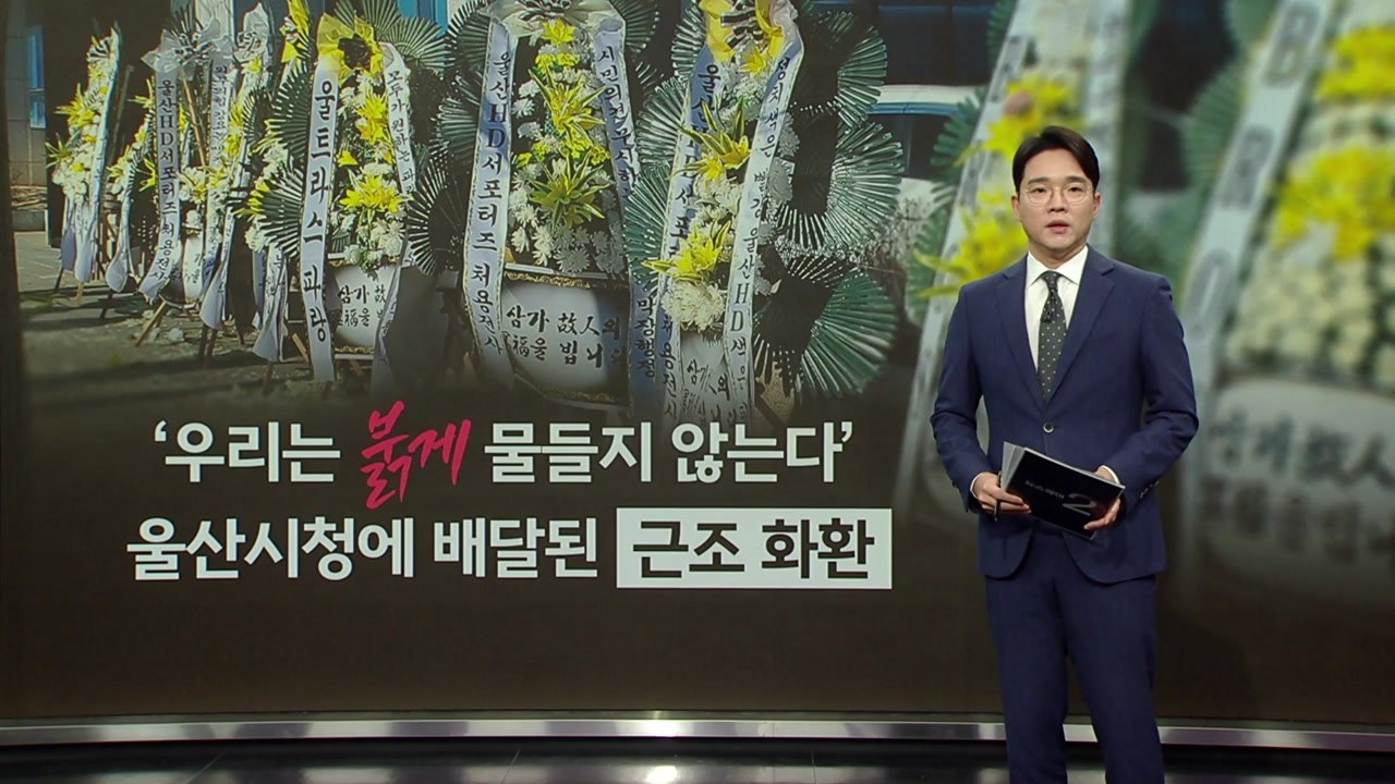 빨강 좌석 vs 파랑 좌석...때아닌 축구장 색깔 논쟁 [앵커리포트] / YTN