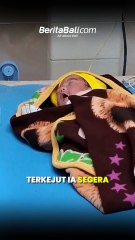 Bayi Perempuan Ditemukan di Garasi Rumah Warga Bangli