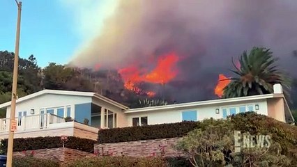 Los Angeles Wildfire Victim Has EMOTIONAL Reunion With Missing Dog 5 Days After Evacuation | E! News