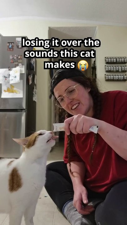 I'm a cat sitter I noticed a funny sound Mylo made when he was getting his lickable treat I thought it was too cute not to get a video.