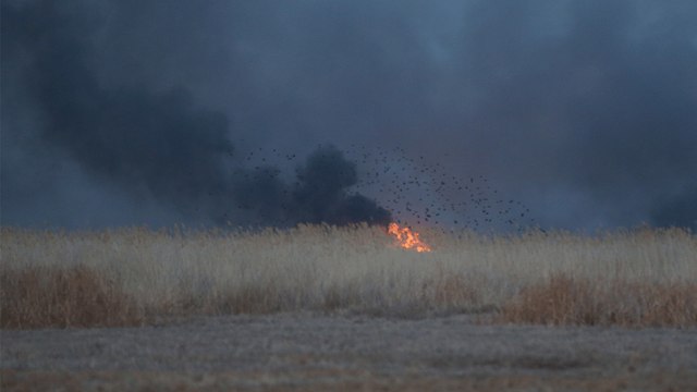 Sultan Sazlığı Milli Parkı'nda yangın çıktı