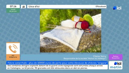 Un élevage du Vallespir décimé par la fièvre catarrhale ovine