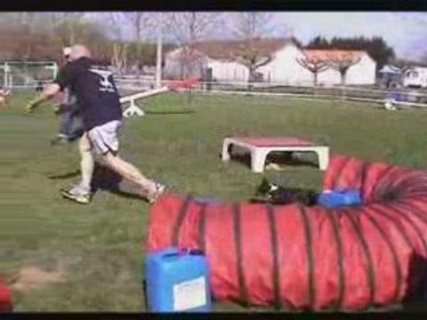 Championnat Agility Poitou-Charentes & GPF 2008