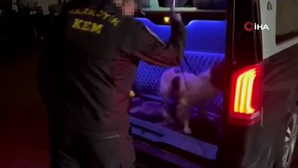 ’VIP’ uyuşturucu tacirleri tutuklandı