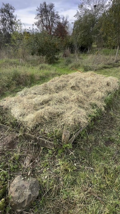 Tuto potager !