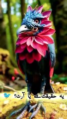 Har Aik Ko Surah Rahman Se Fayda Milta Hai 04 #SurahRahman #Fayda #Blessings