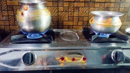 Happy pongal / pongal reels _reelsvideo_shorts_pongalreels_shortsfeed_dailymotionfeeds