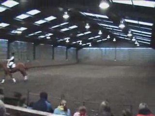 Dressage Training & Example Of Horse Movements