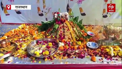 झालावाड़: गौ माता को लगाया छप्पन भोग ,मुख्यमंत्री से गौ माता को राज्य माता घोषित करने की मांग