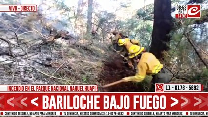 Bariloche bajo fuego: decenas de bomberos trabajan incansablemente para combatir las llamas