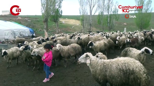 Erzincan’daki hayvan pazarında şap karantinası Hayvan pazarı geçici olarak kapatıldı