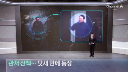 윤, 관저 산책…닷새 만에 재등장