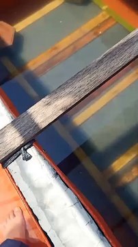 Pemijahan selesai, tinggal angkat induk lele dan kakaban nya