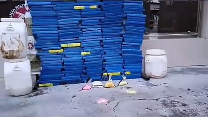 Tráfico de drogas sofre baque após PM apreender mais de 100kg de maconha em cidade da Bahia; assista