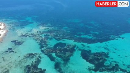 Garip Adası icradan satışa çıkarıldı! Değeri dudak uçuklatıyor